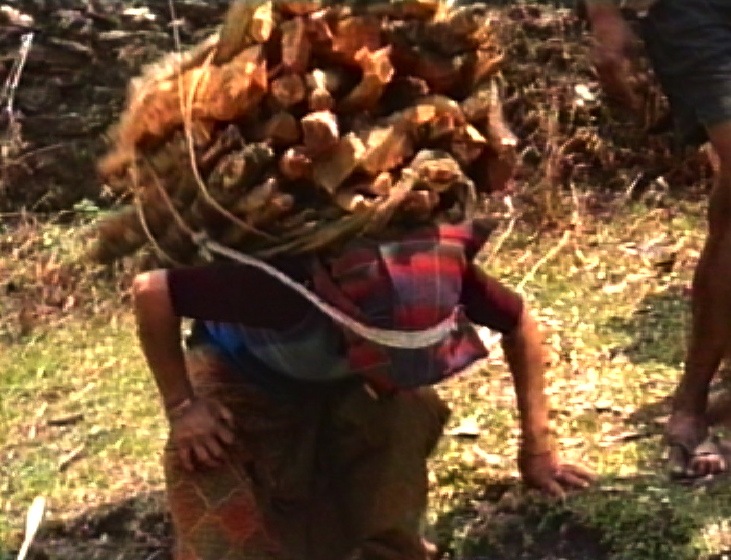 Dilmaya carrying wood down from Garedi's image