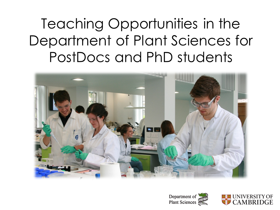 Teaching Opportunities for PostDocs and PhD students in Plant Sciences's image