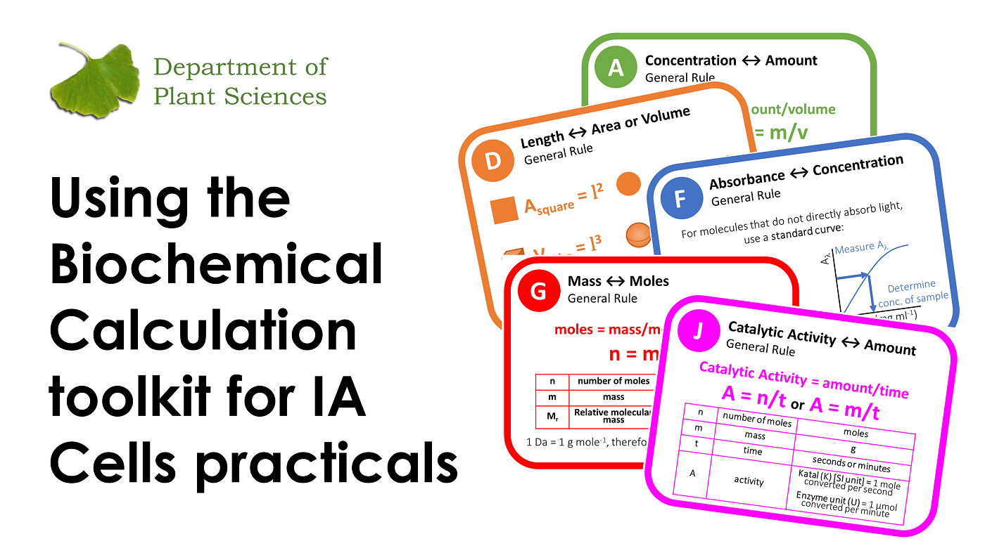 IA Cells Biochemical Calculation Toolkit's image