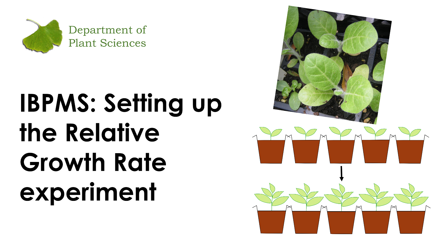 IBPMS: Relative Growth Rate Experiment's image