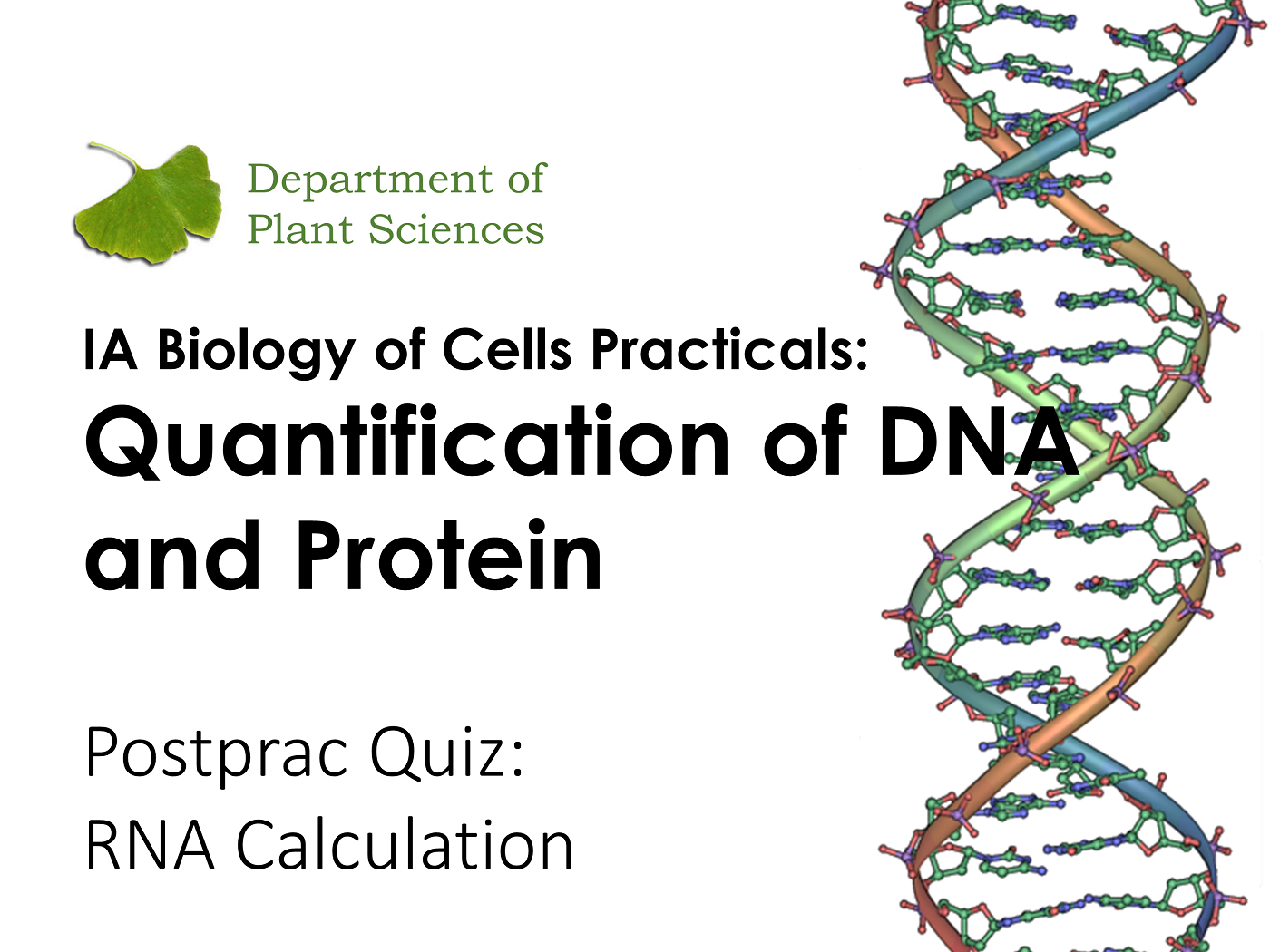 IA Cells Week 3 PostPrac Quiz RNA Calculation's image