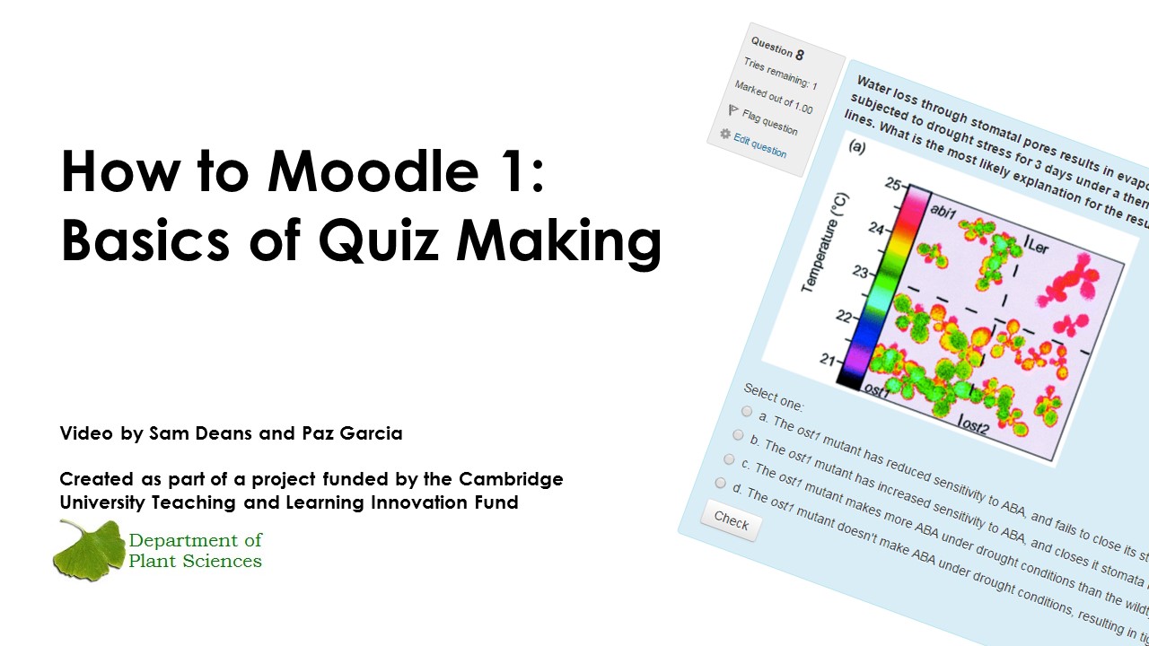 How To Moodle 1: Basics of quiz making's image