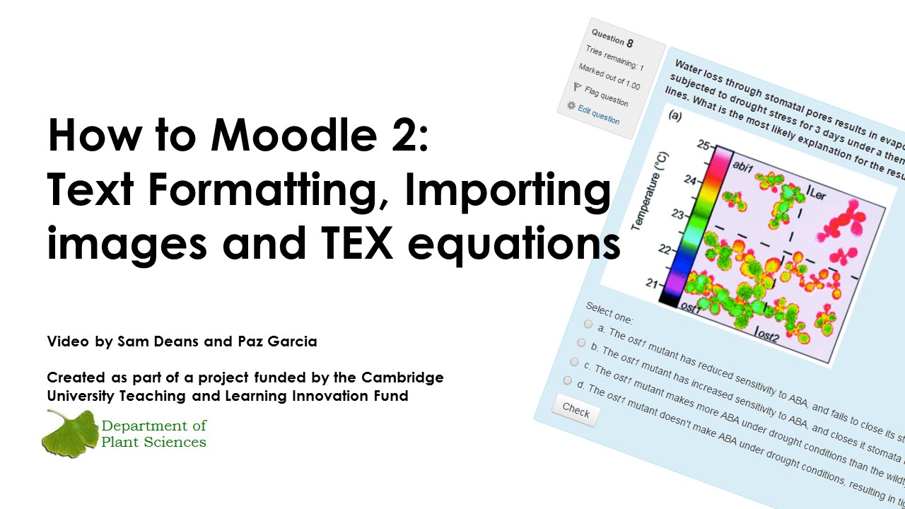 How to Moodle 2: Text Formatting, Importing images videos and TEX equations's image
