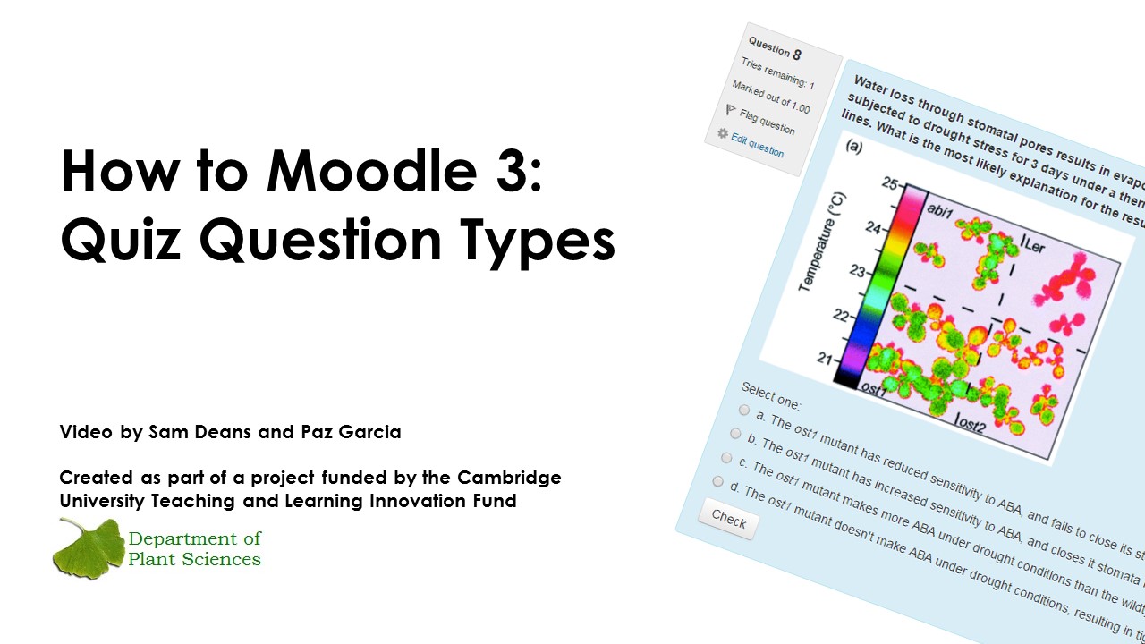 How to Moodle 3: Quiz question types's image