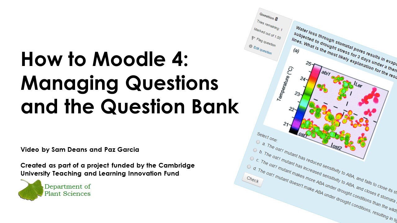 How to Moodle 4: Managing questions and the question bank's image