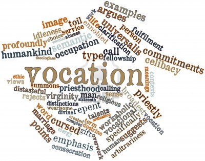 What is vocation?'s image