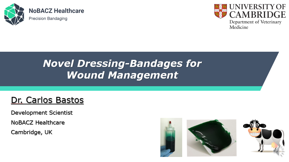 Novel Dressing-Bandages for Wound Management's image