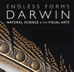 15. Between Apes and Angels: Representing the Darker Implications of Darwinism's image