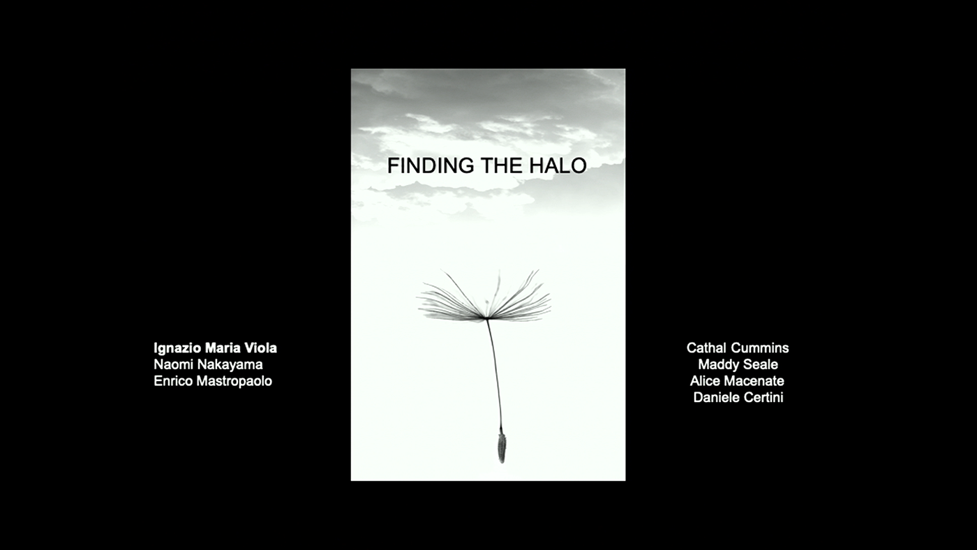 'Finding the halo: a separated vortex ring underlies the flight of the dandelion' by Ignazio Maria Viola (Edinburgh)'s image